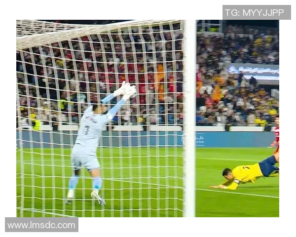 C罗在匈牙利比赛中引发球迷热烈反应的精彩瞬间回顾